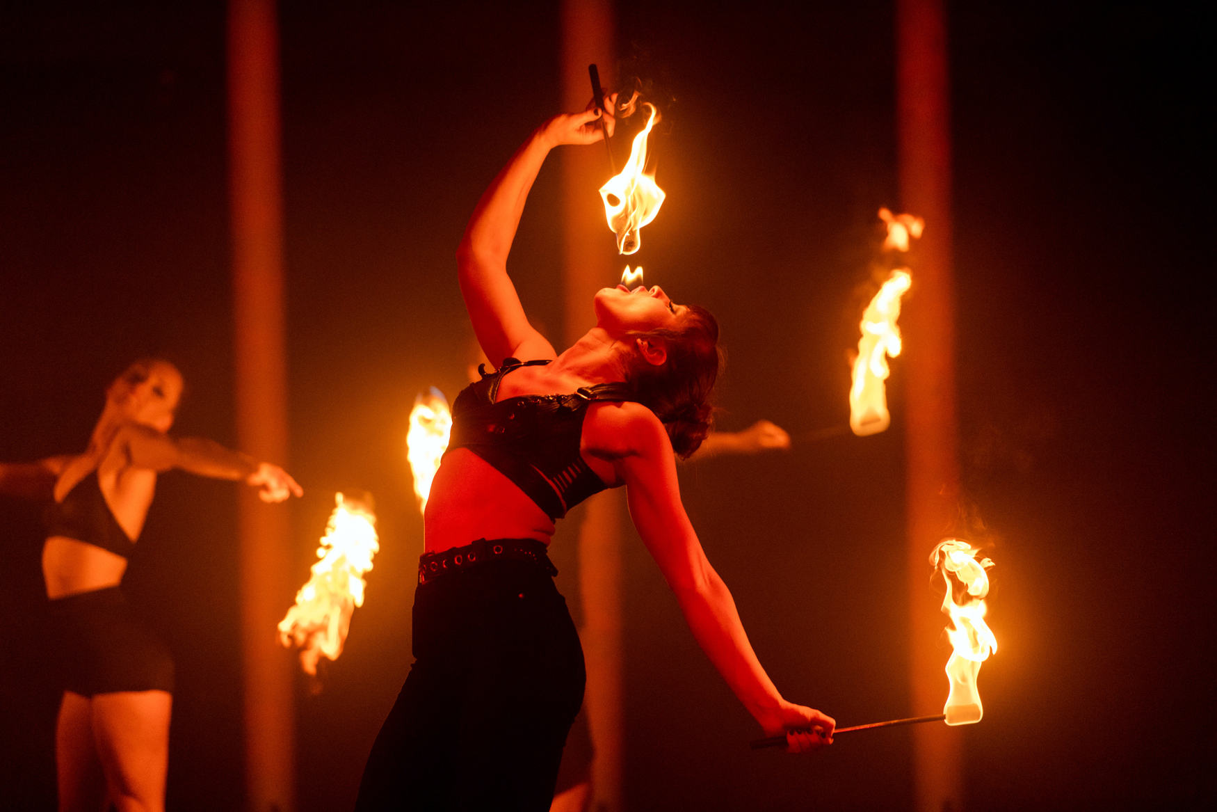 Rouge - Ian Georgeson (2)